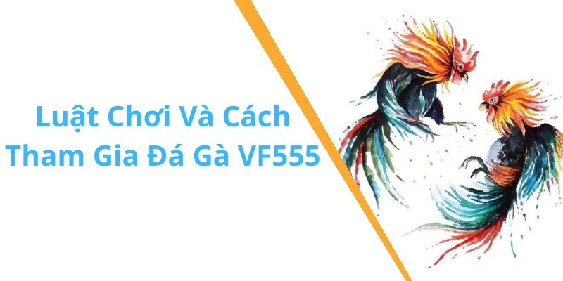 Luật Chơi Và Cách Tham Gia Đá Gà VF555