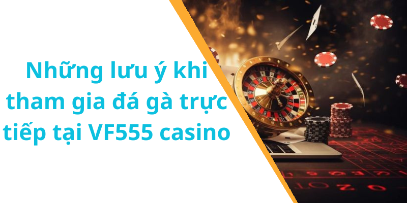 Những lưu ý khi tham gia đá gà trực tiếp tại VF555 casino