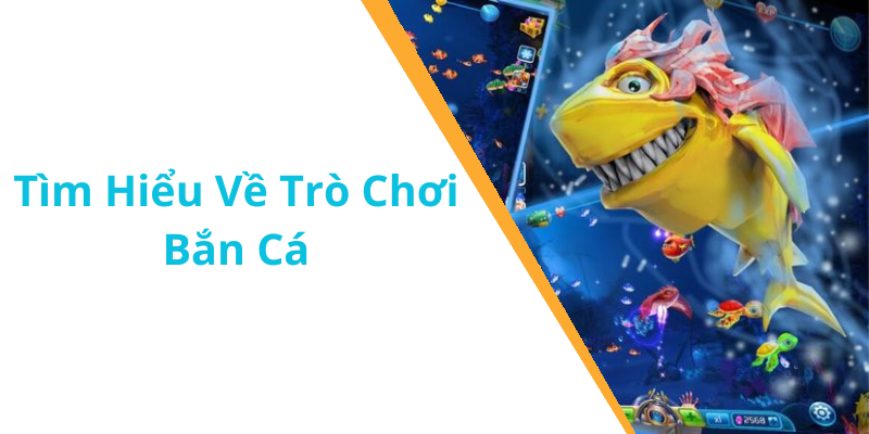 Tìm Hiểu Về Trò Chơi Bắn Cá