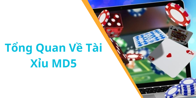 Tổng Quan Về Tài Xỉu MD5