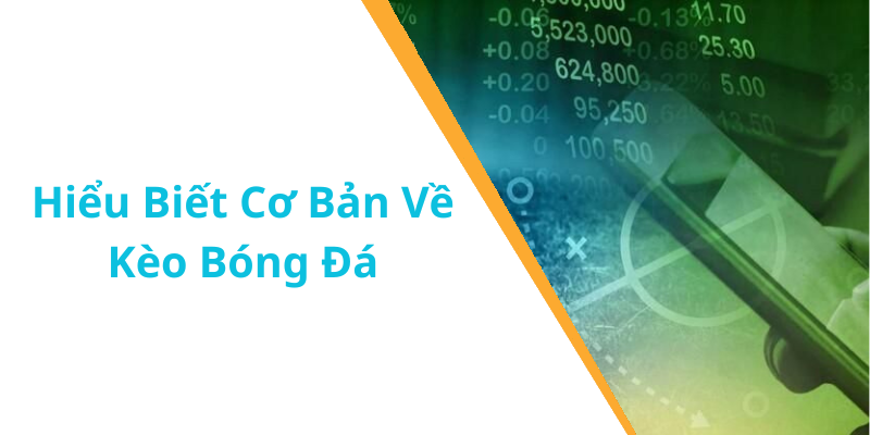 Hiểu Biết Cơ Bản Về Kèo Bóng Đá