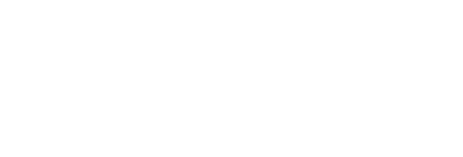 VF555casino.space