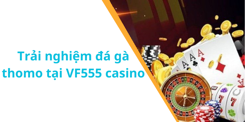 Trải nghiệm đá gà thomo tại VF555 casino